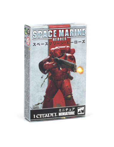 SPACE MARINE HEROES 2022 BLOOD ANGELS COLLECTION TWO