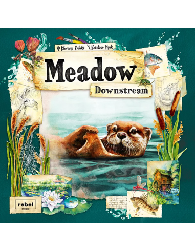 Meadow Downstream expansion