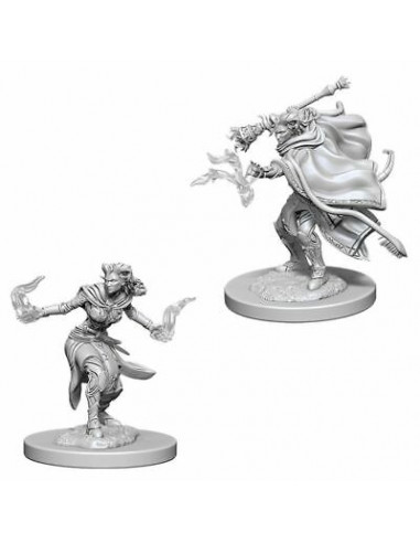 D&D Nolzur´s Miniatures Female Tiefling Warlock